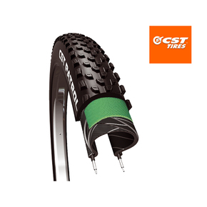 Nunc congue dui nec...