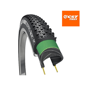 Nunc congue dui nec...